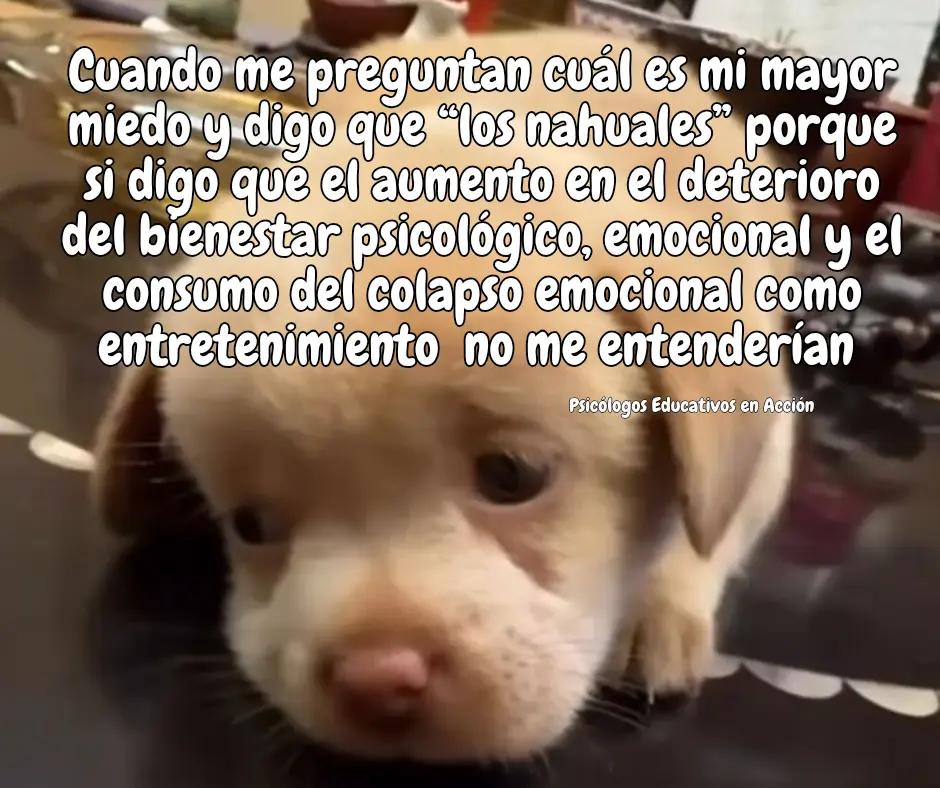 @Psi.Educativos en acción