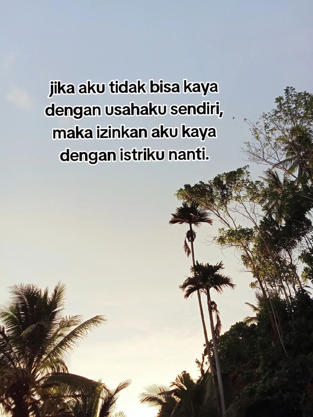 @SENJA Nya Bubu🪴
