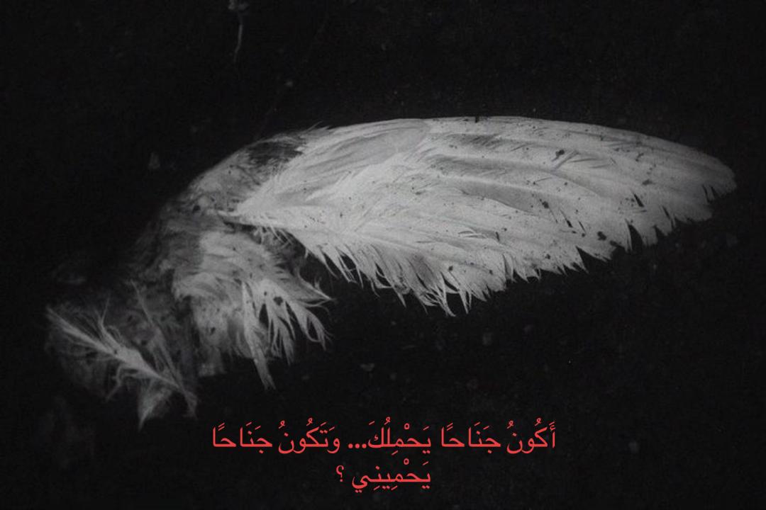 @وَهْمٌ