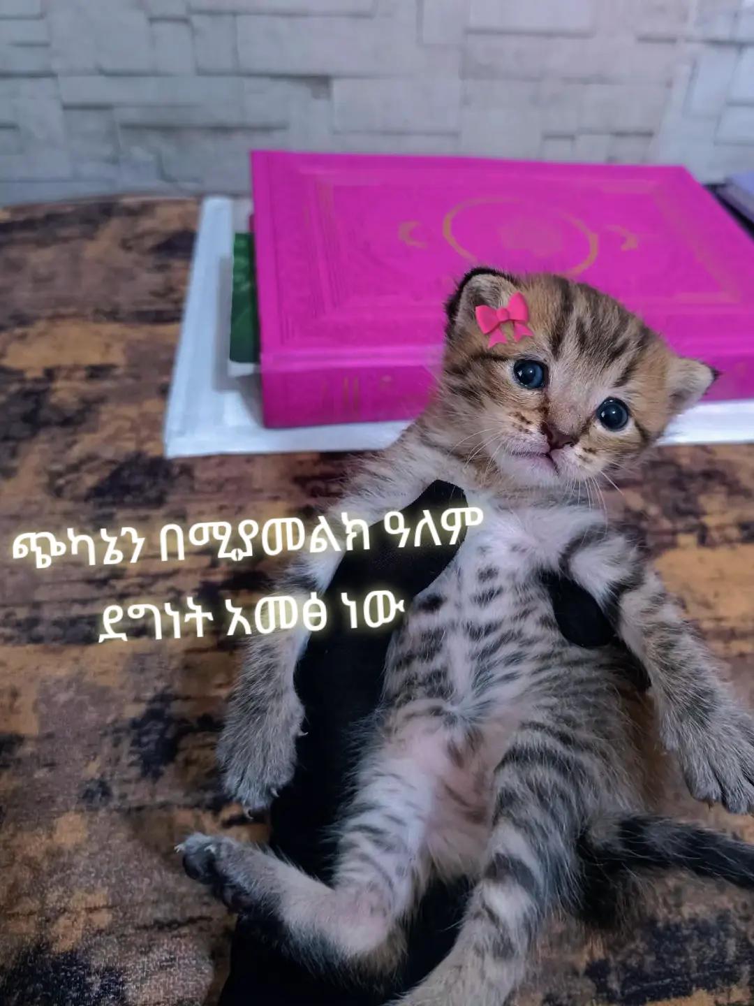 @تعلم ثم تكلم🥰