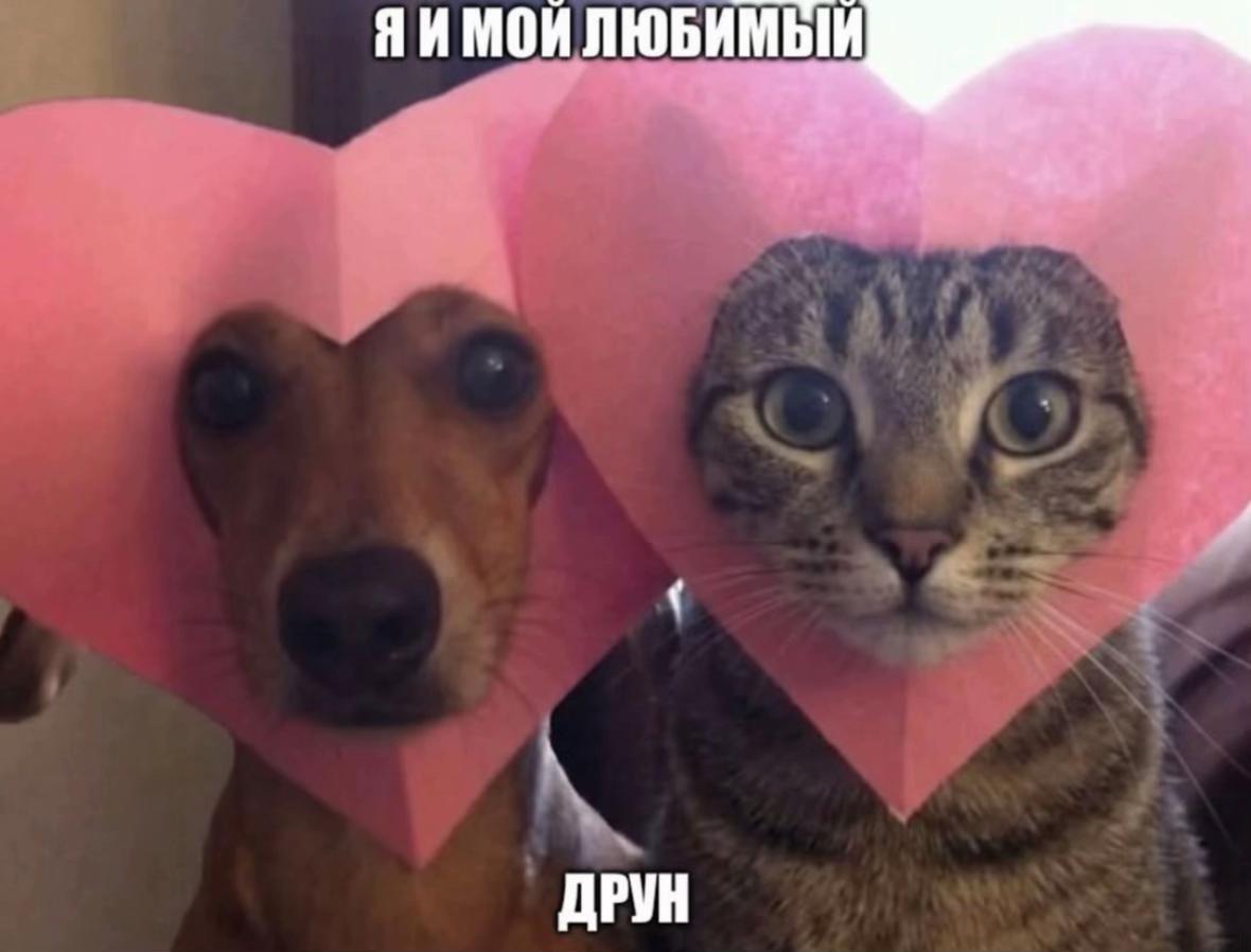 @kispis158