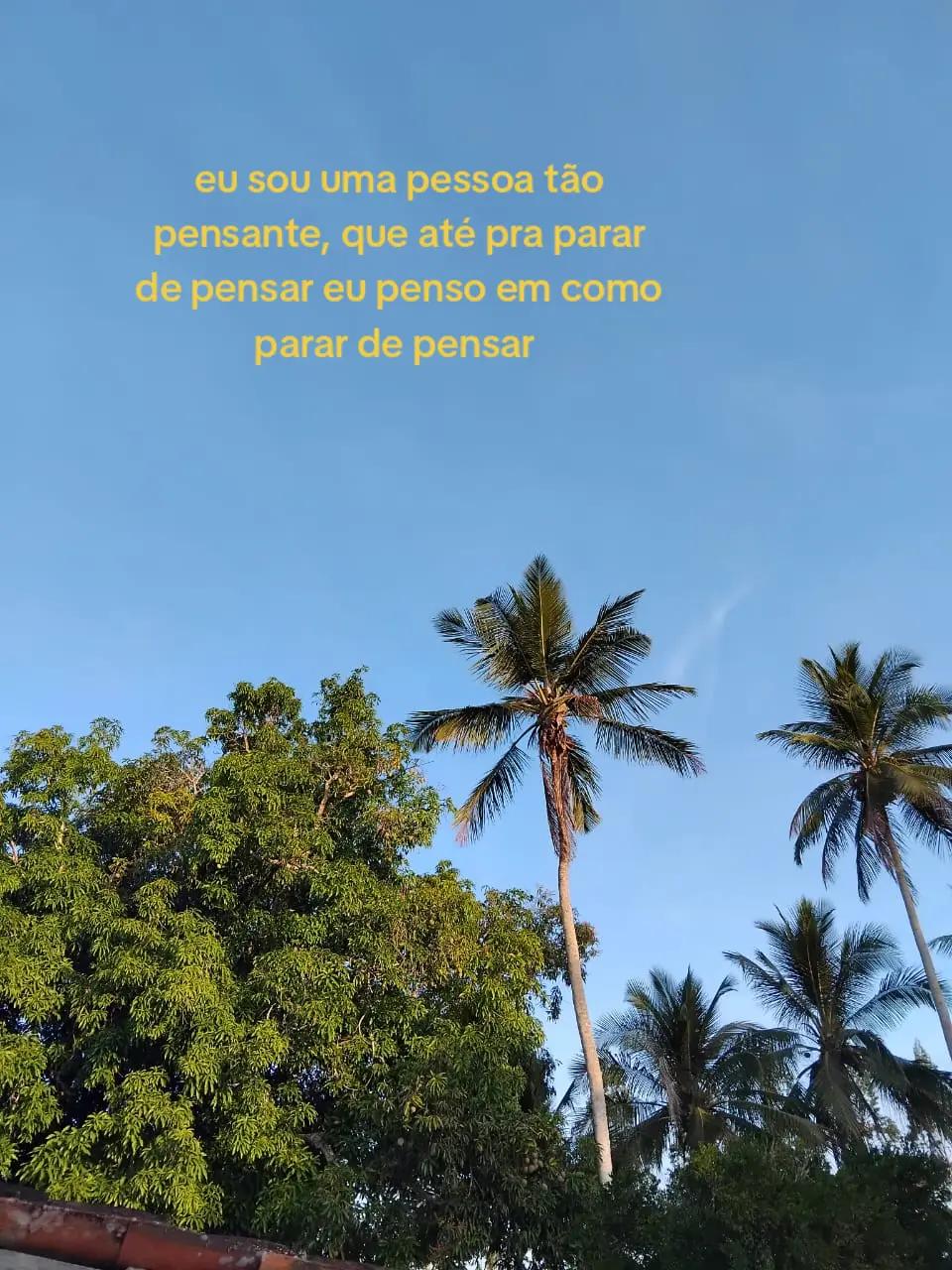@slv_✿