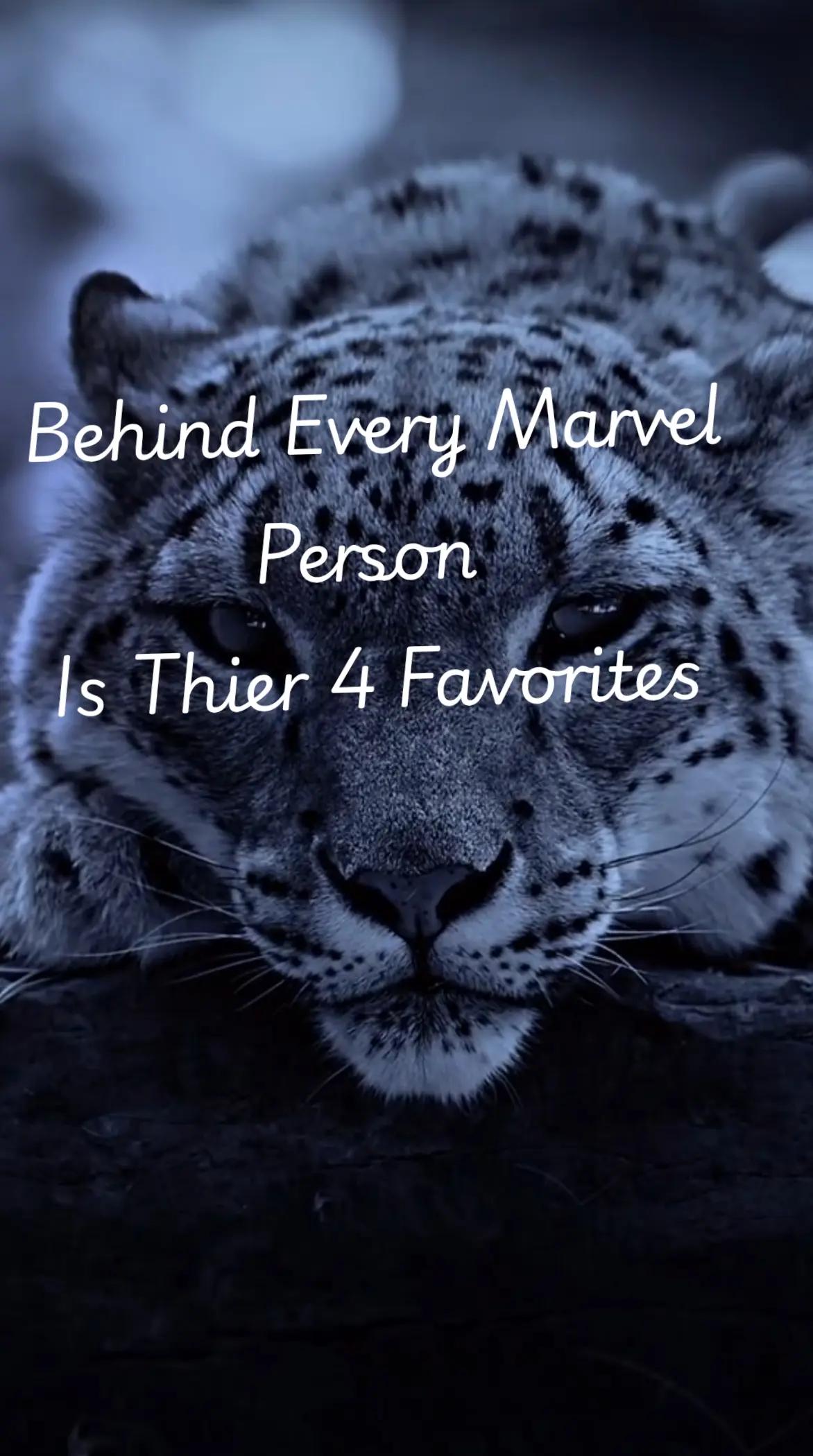 @Vera_The_Leopard