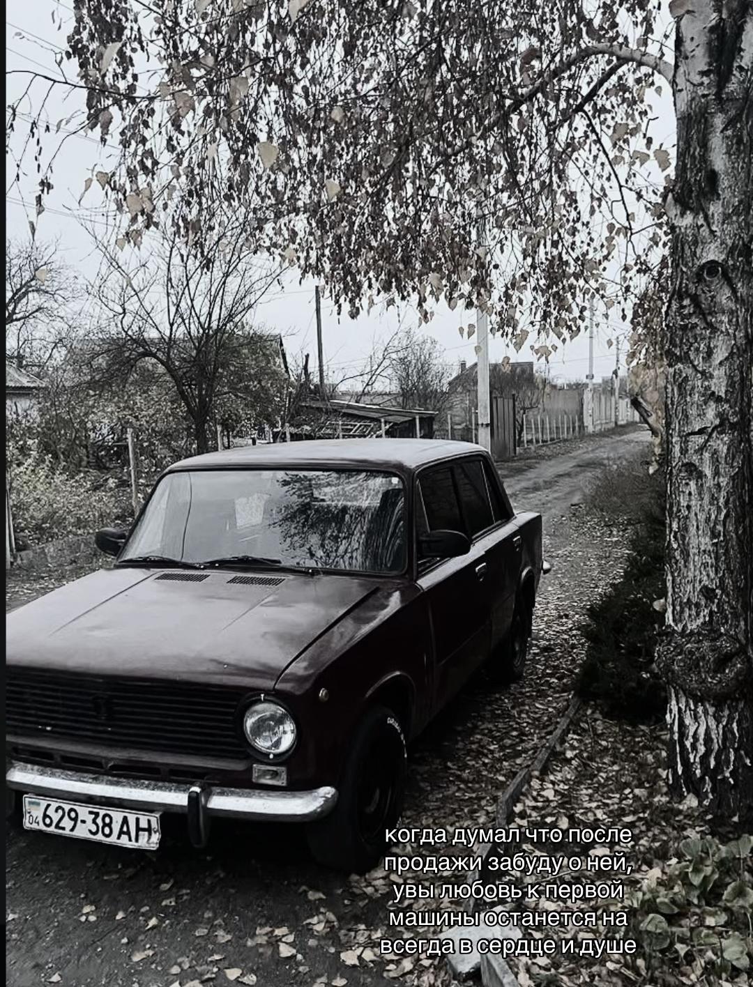 @fzmdimka