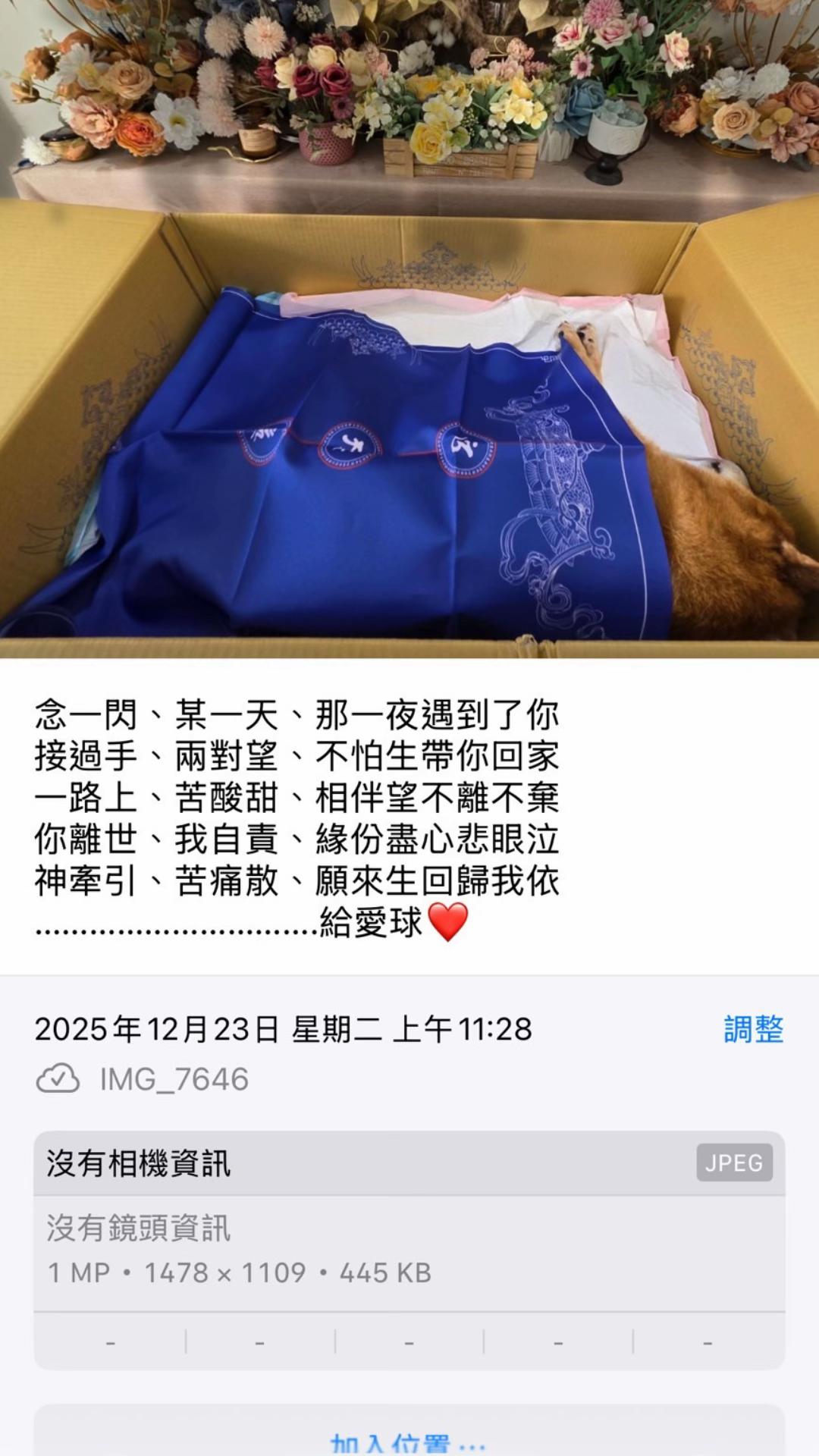 @Aina0317芷♓️(不加Line)