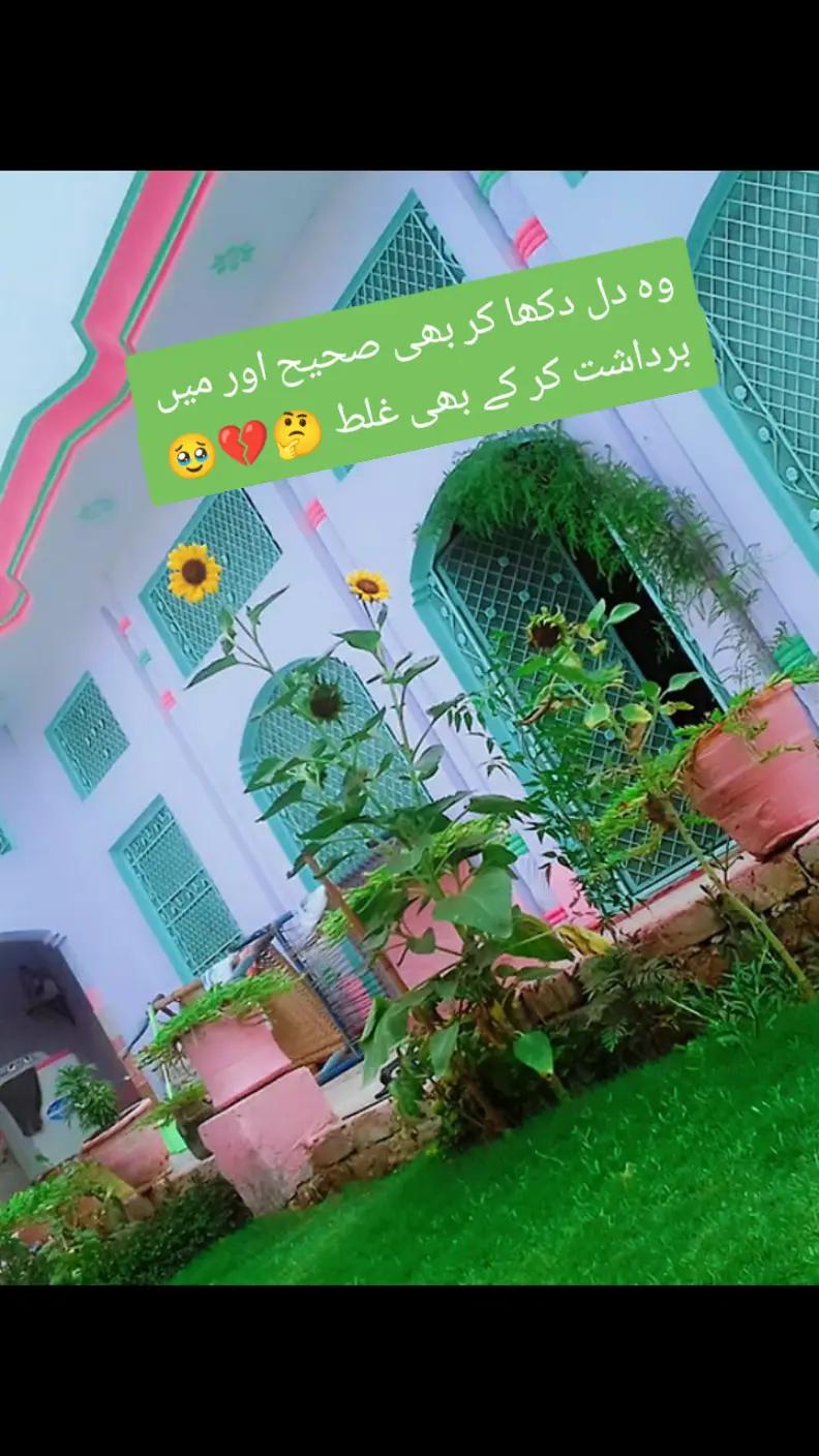 @Hassan Hussain💞