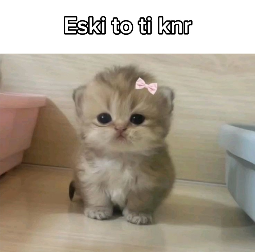@️🎀