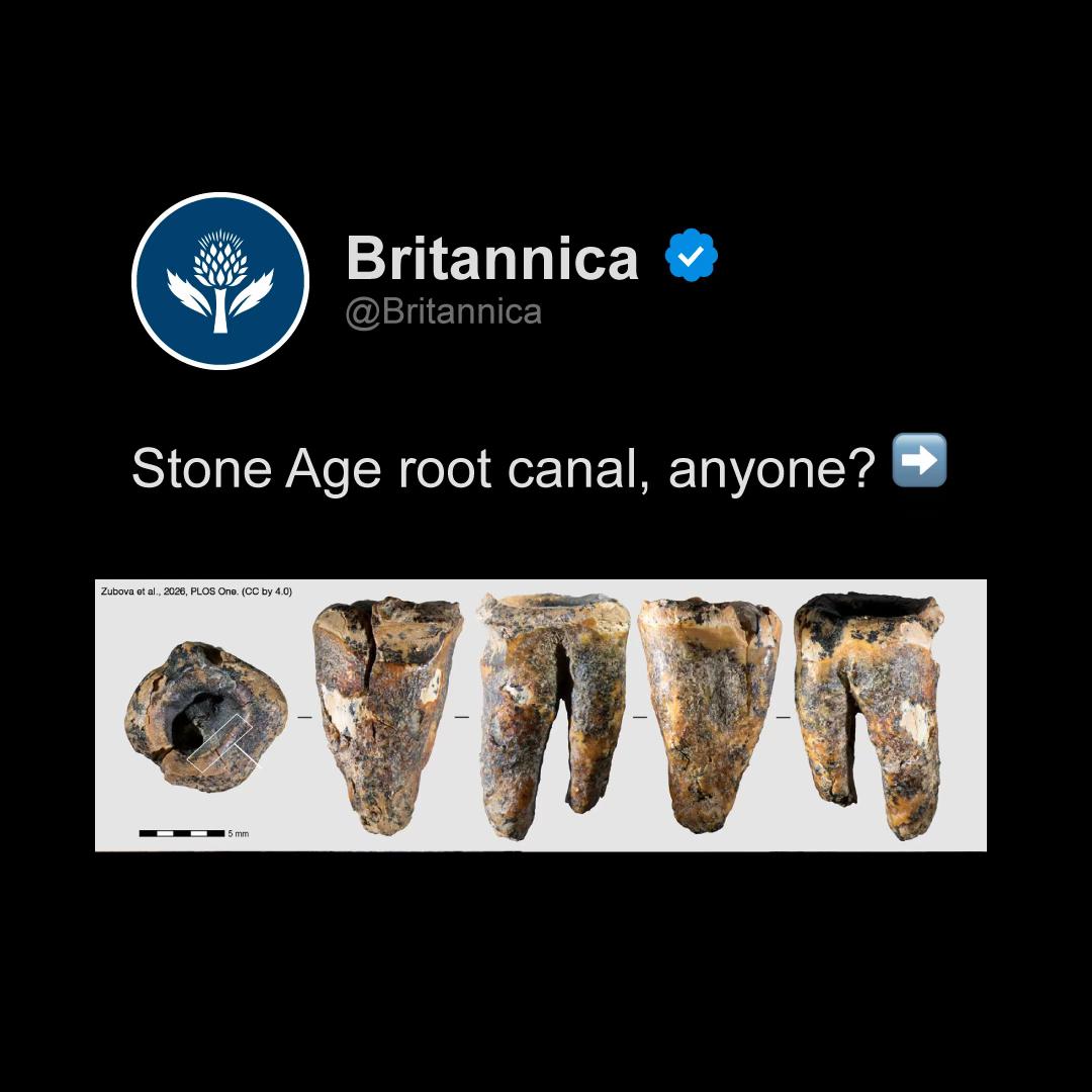 @Encyclopaedia Britannica