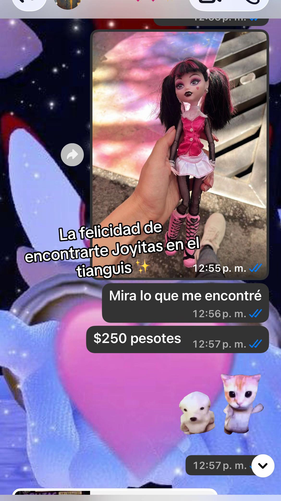 @Jibanyan_m