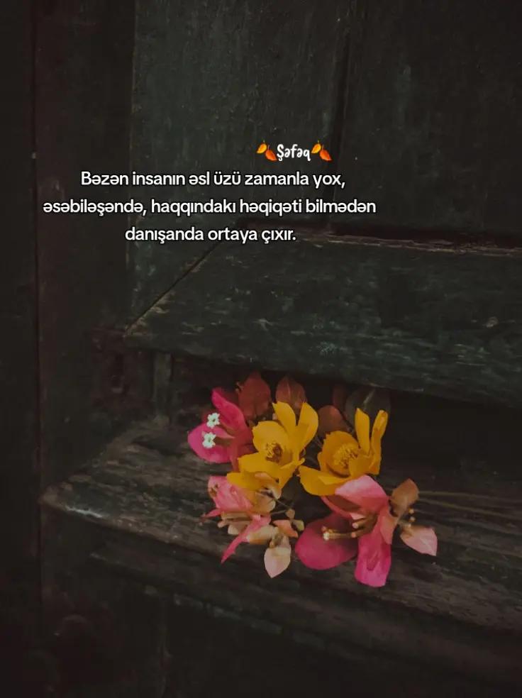 @🍂Shafaq🍂