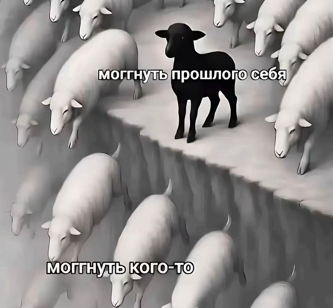 @𝕹𝖎𝖐𝖘𝖙𝖗