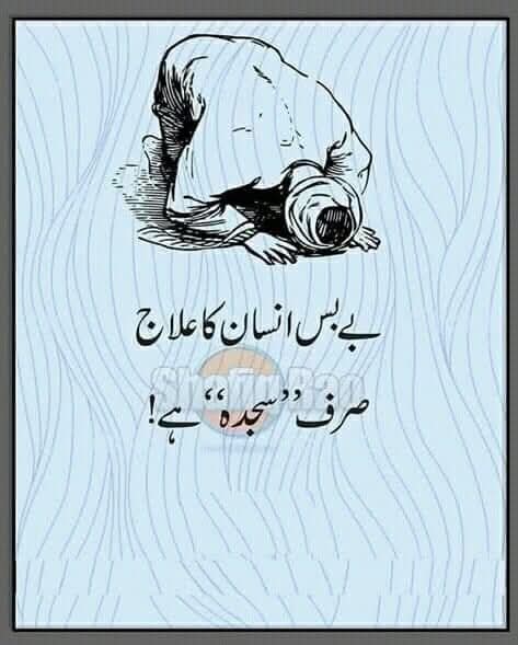 @Bashir Dhuddi