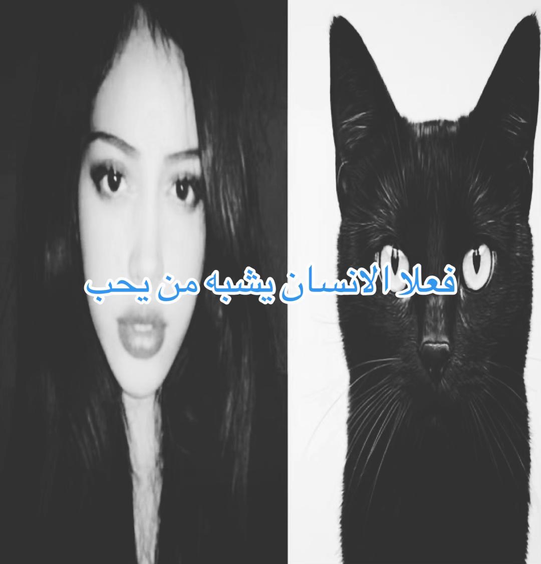 @ســــتـوكـــر
