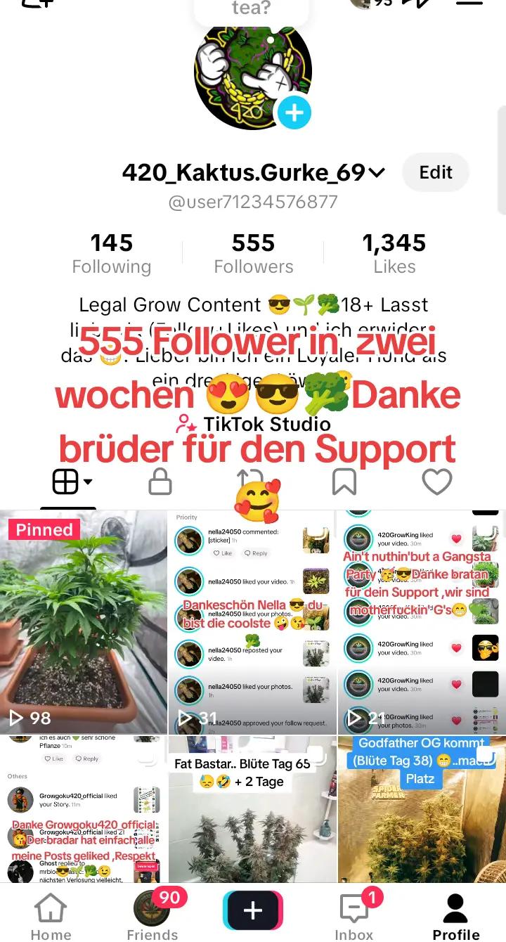 @420_Kaktus.Gurke_69