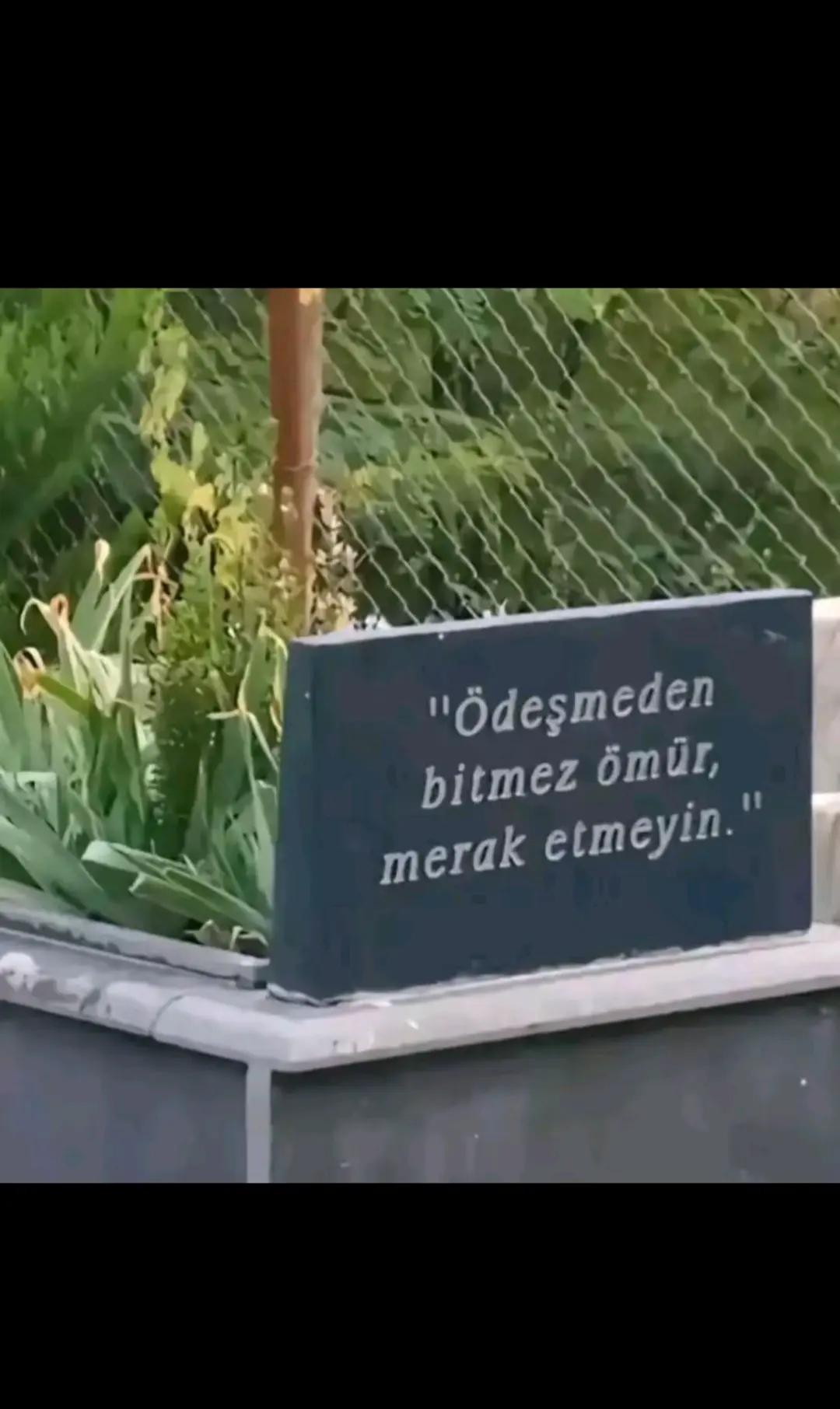 @𝐑𝐨𝐦𝐞𝐨 ⚕️
