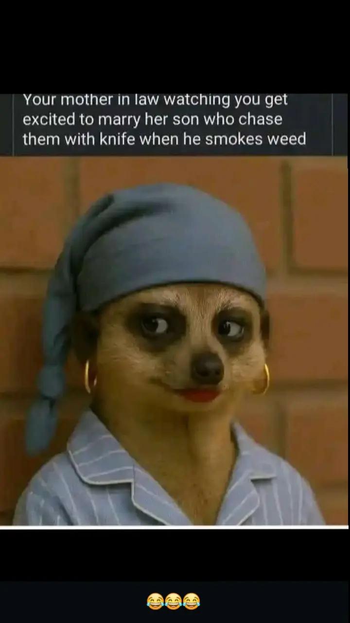 @guardian 254