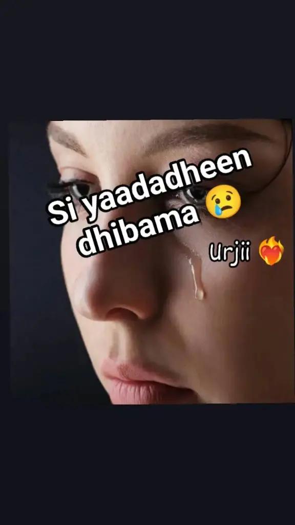 @C2bekkaa