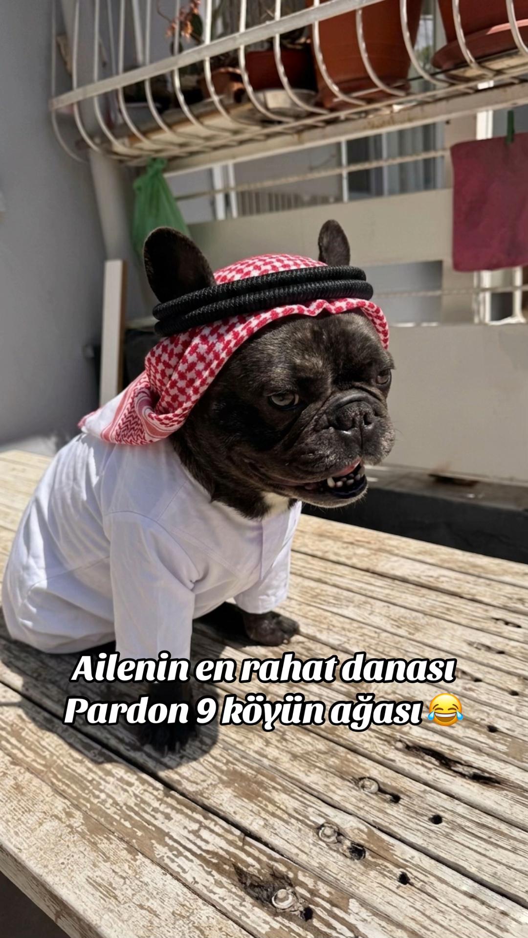 @Ali Can Çalışkan