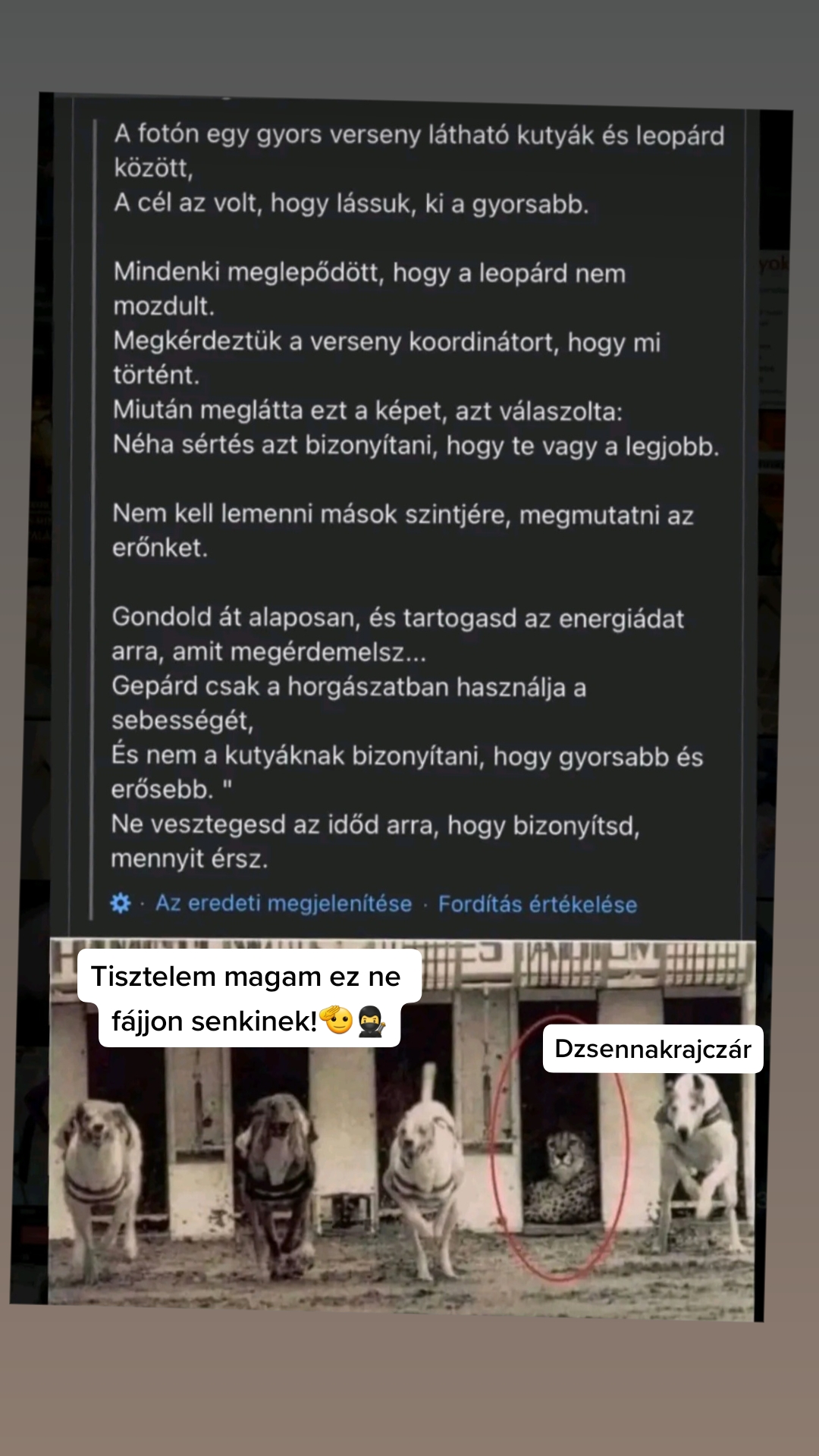 @🥷Dzsenna🥷