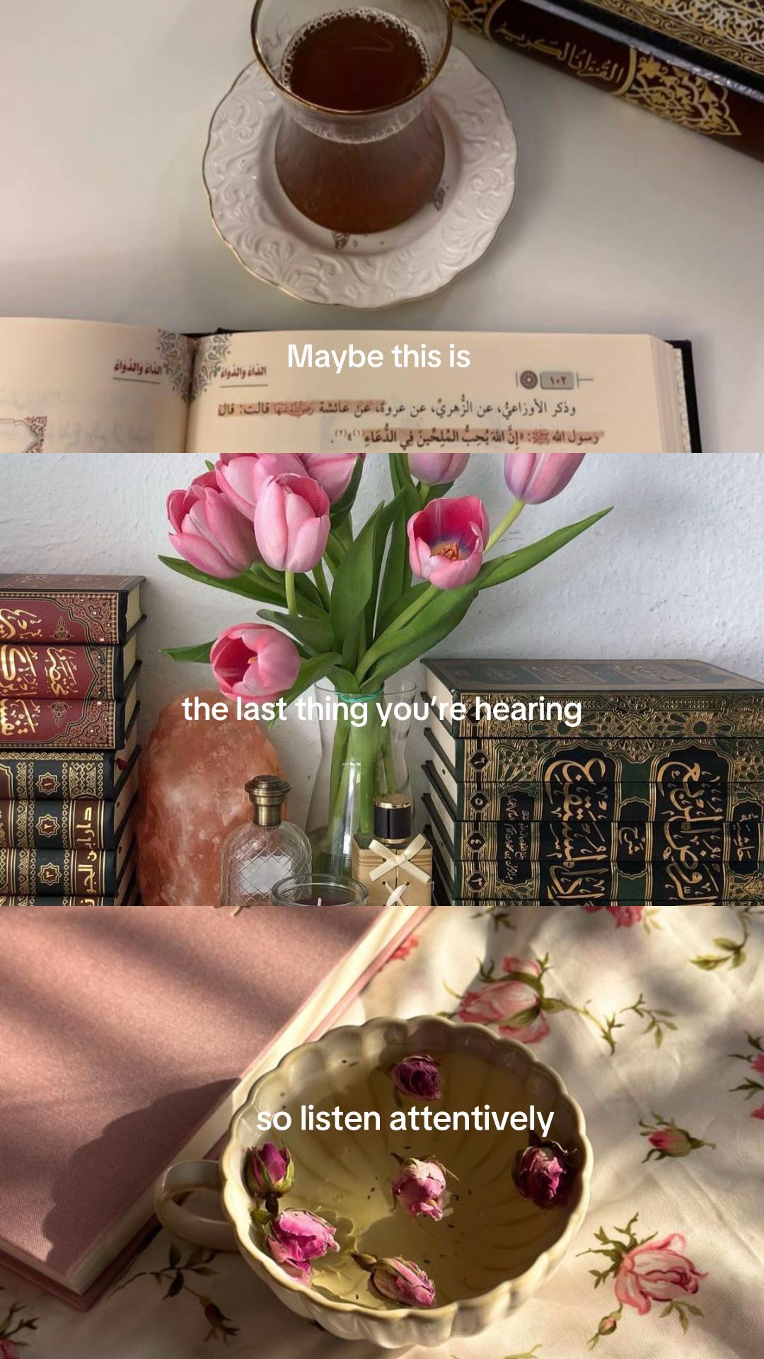 @🌺