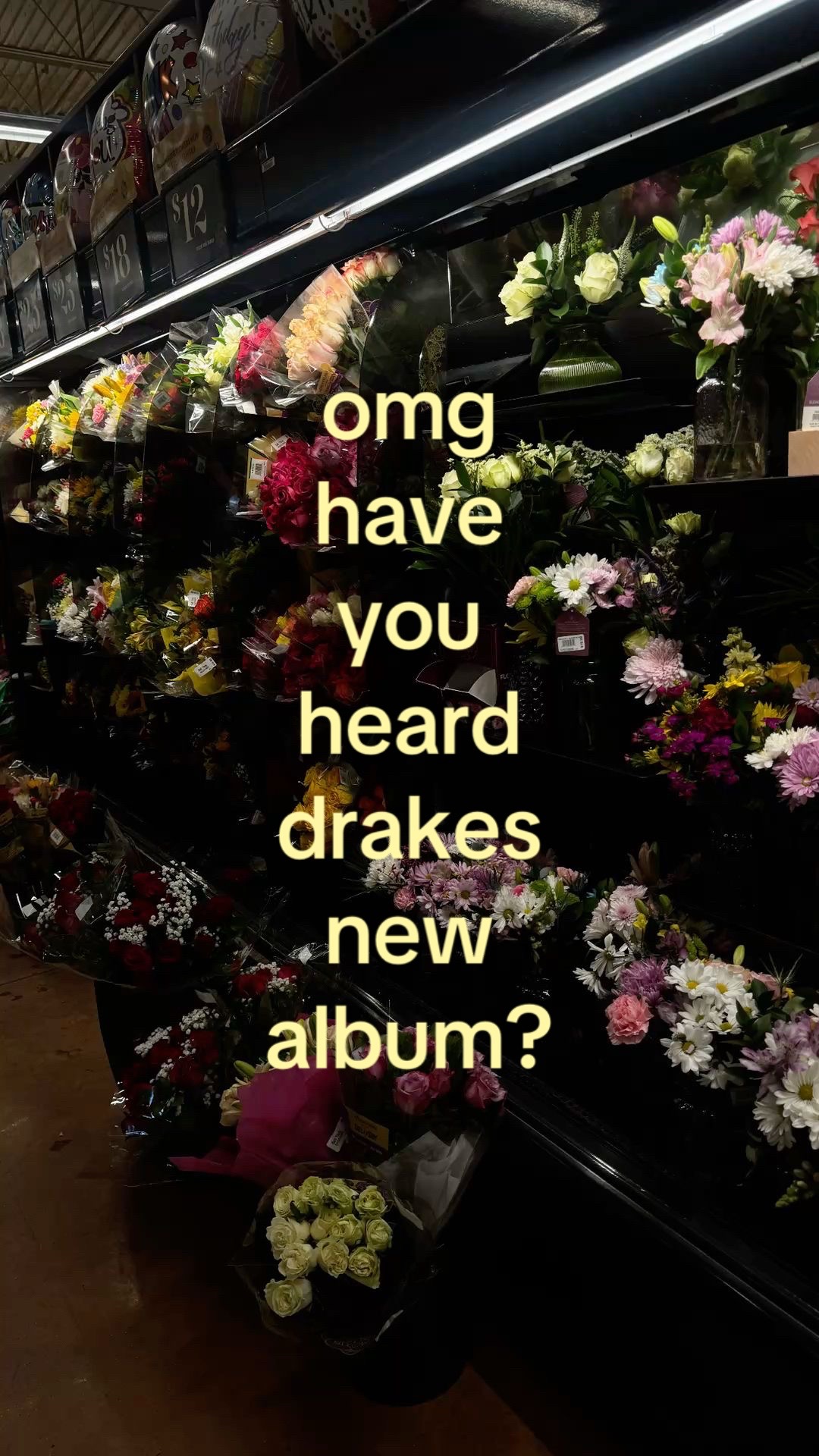 @🪽