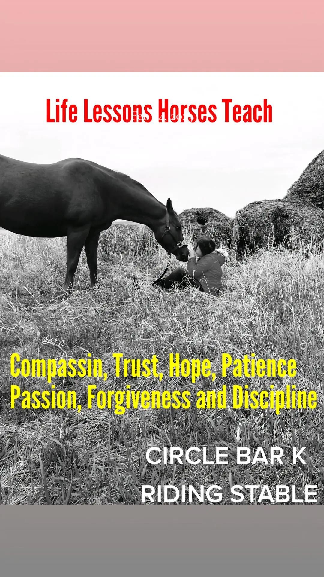 @Barrel Racing Journey