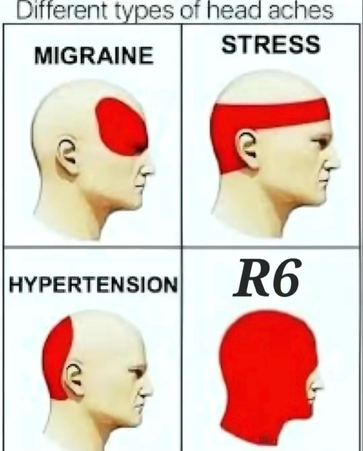 @lilree