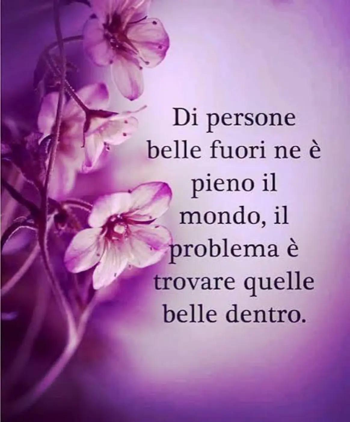 @Ninoilcamionistasiciliano🚛