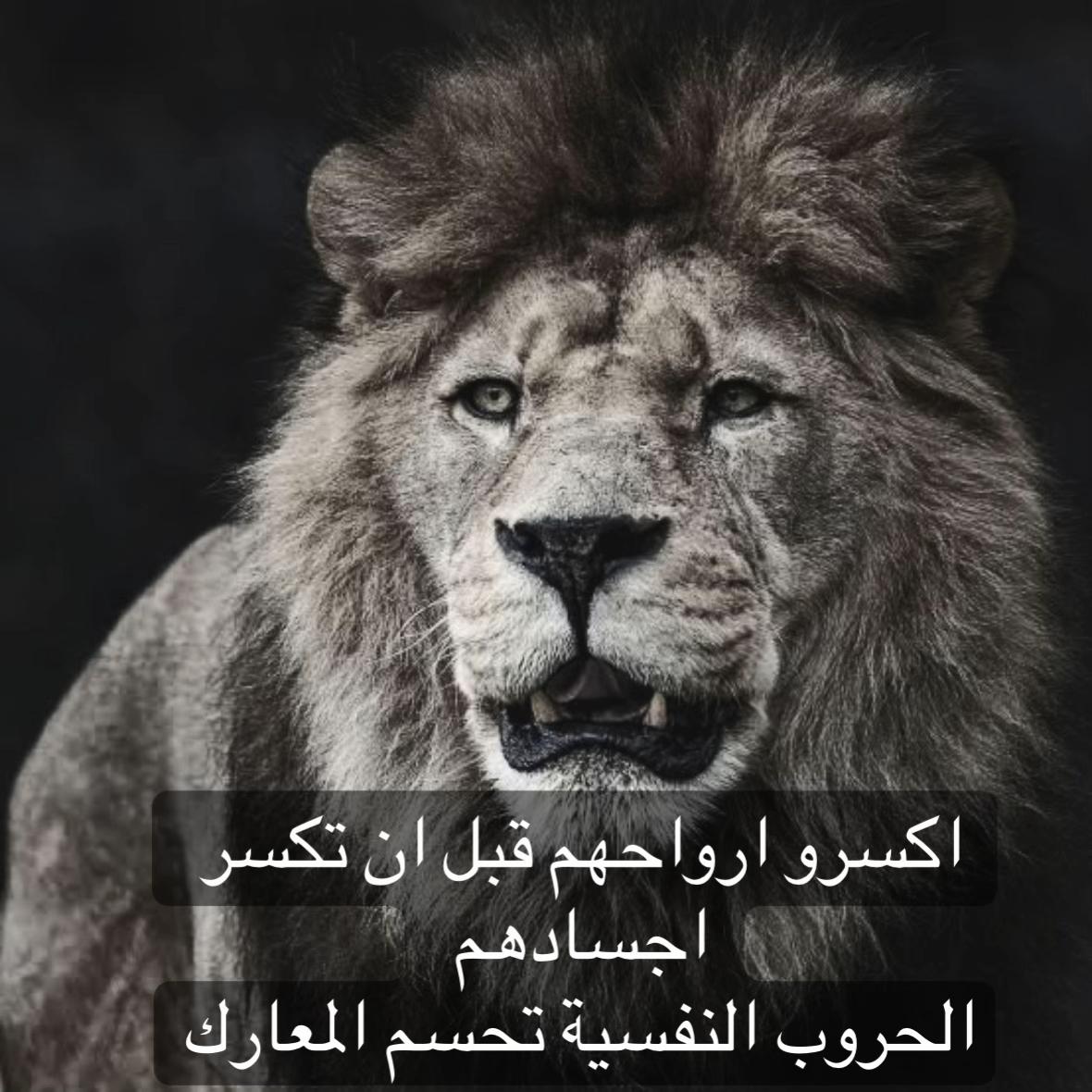 @🦁 scarface 🦁
