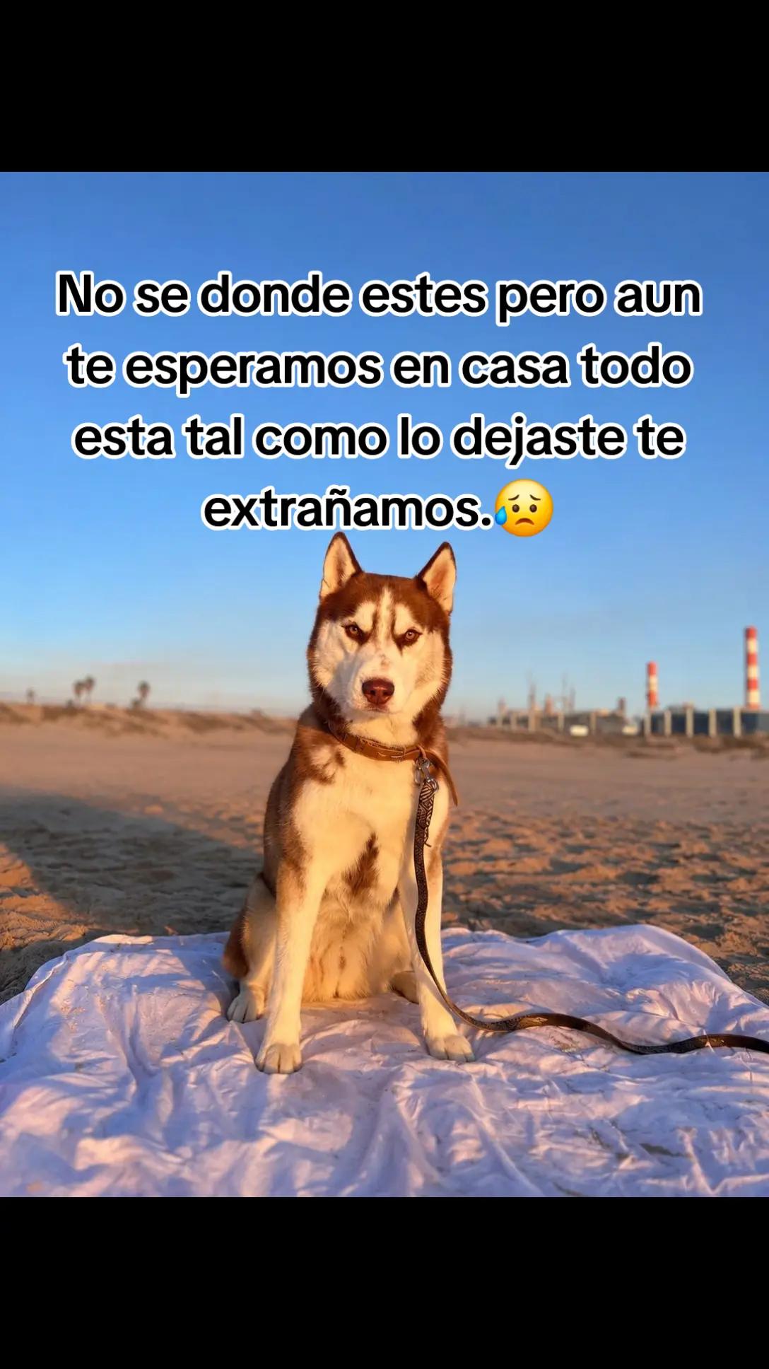@Claribella 🦋🦋