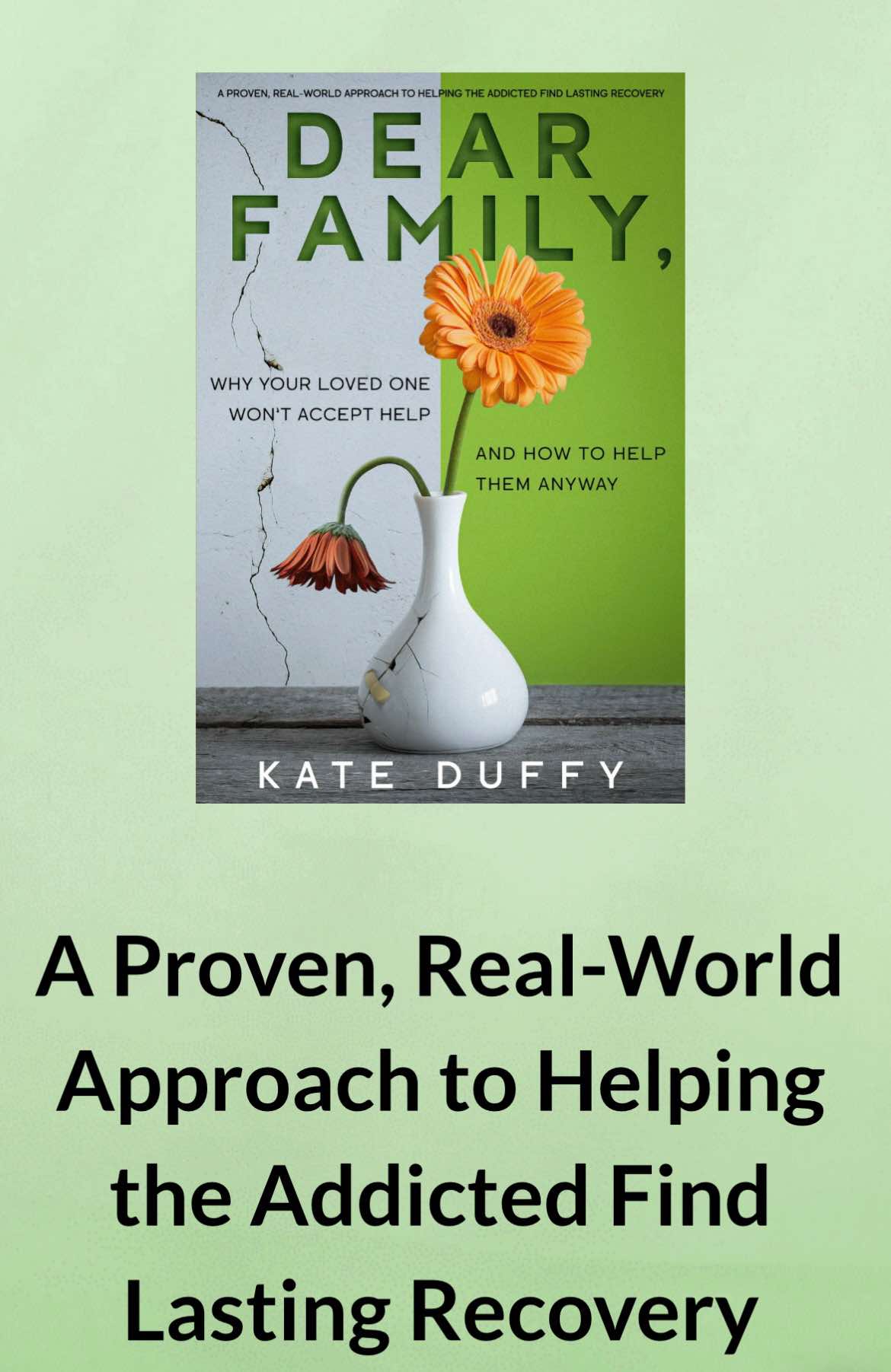 @Kate Duffy - Family Recovery