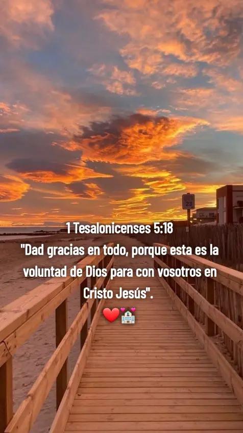 @EL SHADAI