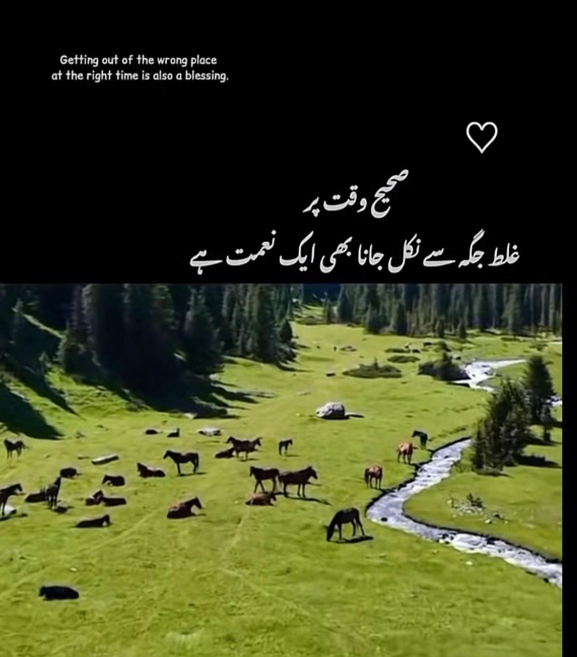 @AAMIR