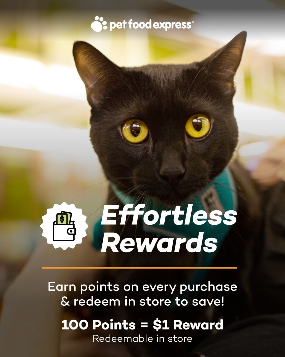 @Pet Food Express