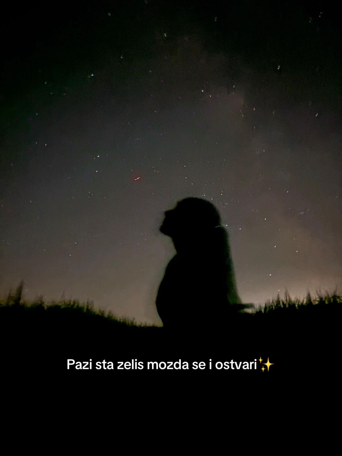 @Minja Kusić