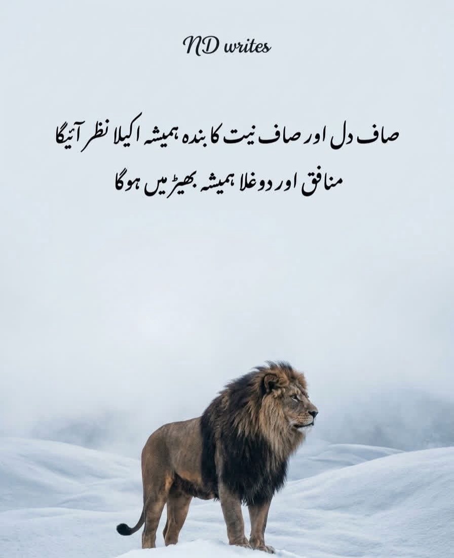 @Sania Queen . %%🦅🦅🦅&&