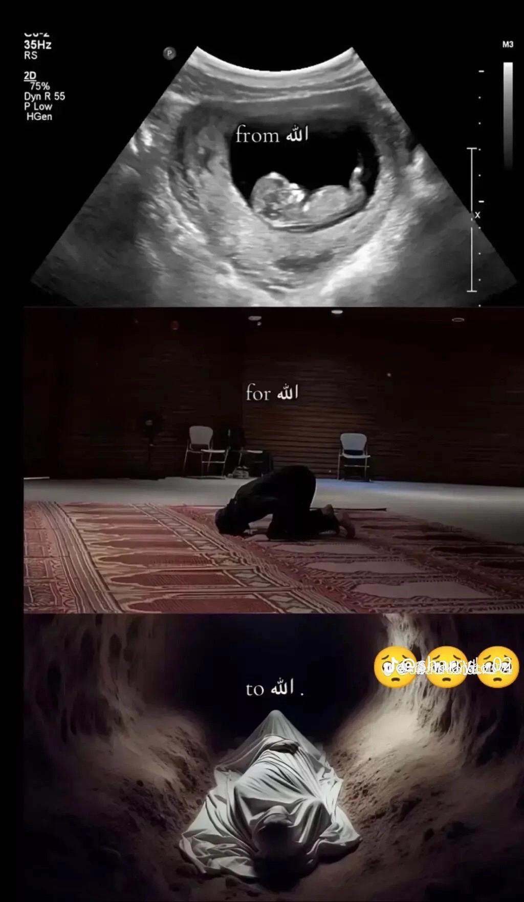 @Musa Khan