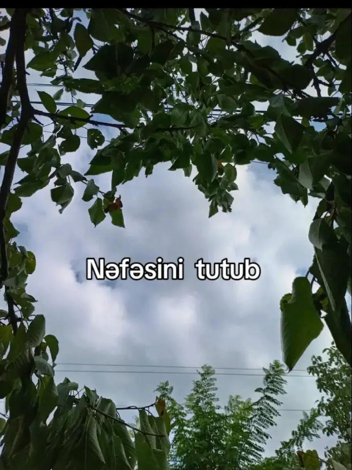 @𝐍 𝐀 𝐁 𝟒 𝐄 𝐕