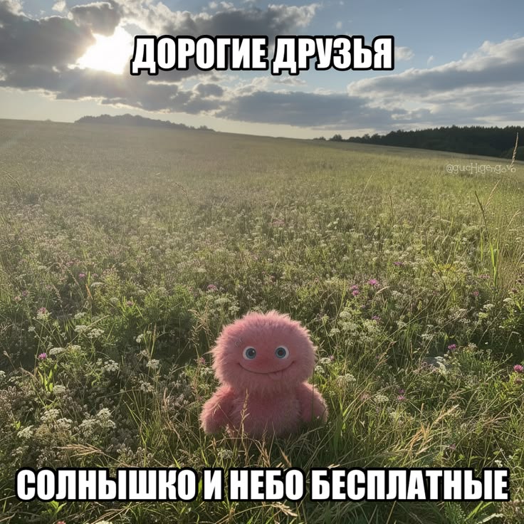 @Коробка ван Гога