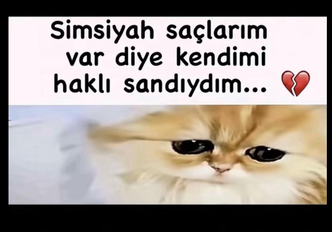 @idil