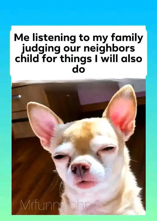 @Dolly J Twinny