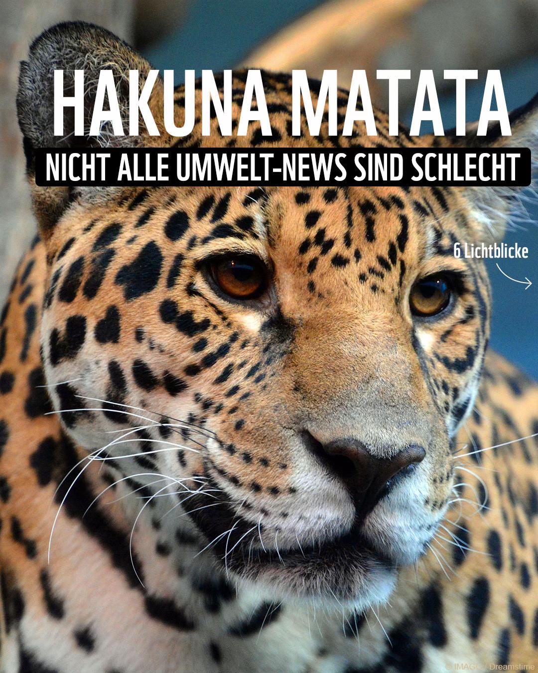 @WWF Schweiz