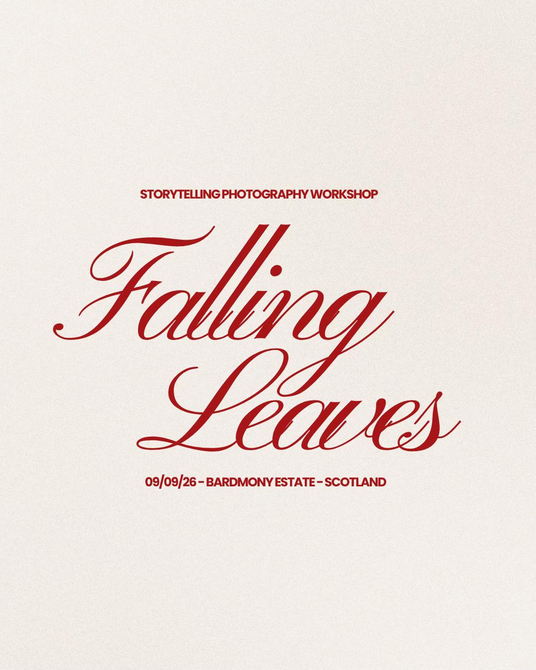 @Kate 📸 Scotland Photographer