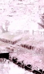 @🩷☆*𖤐٭☆𝙣𝙖𝙡𝙖𝙣꙳♫⚠︎◌ ೄྀ