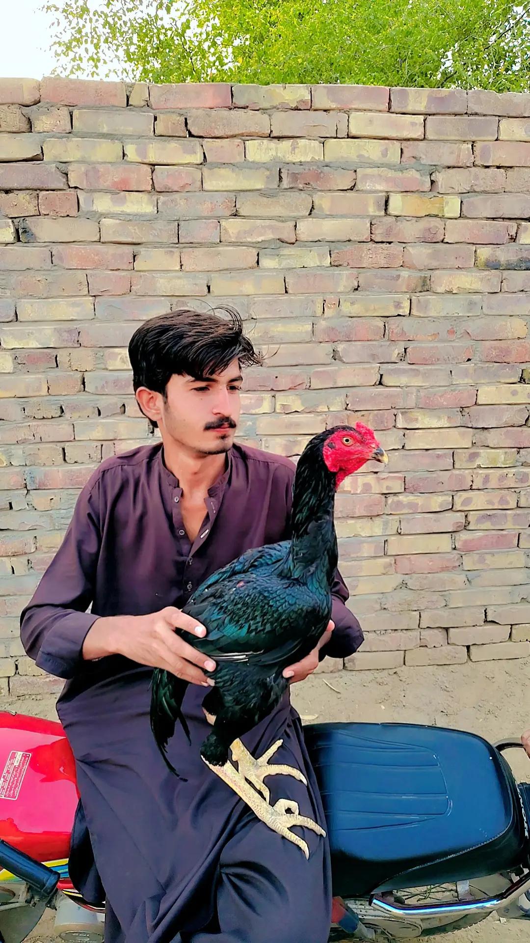 @Faizan bhandara