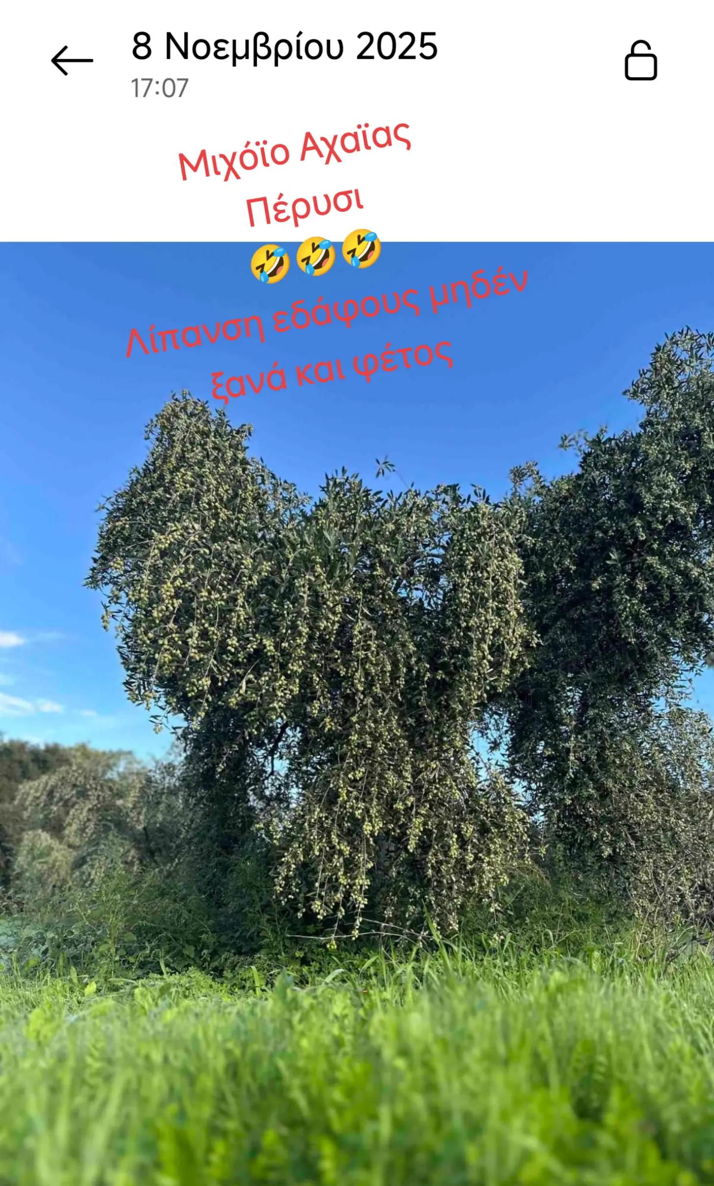 @&Alpha;&gamma;&alpha;&lambda;&iota;&alpha;&nu;ό&sigmaf; &Iota;&omega;ά&nu;&nu;&eta;&sigmaf; &Gamma;&epsilon;&omega;&pi;ό&nu;&omicron;&sigmaf;
