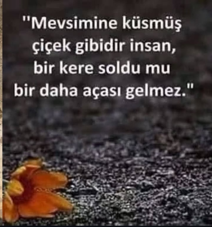 @mecnun