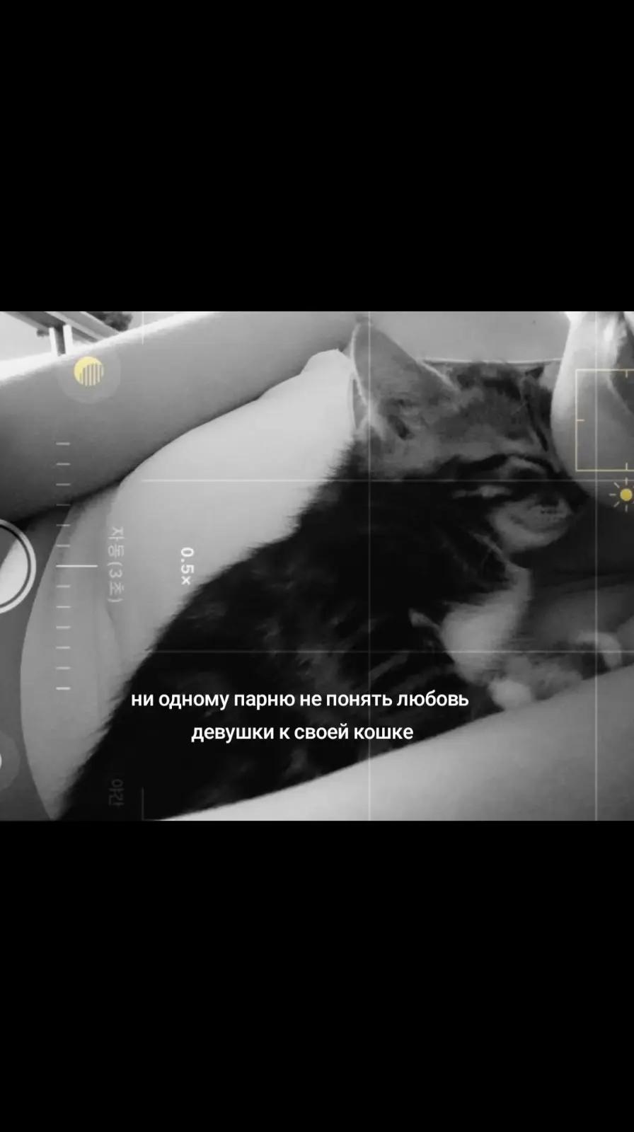@полька
