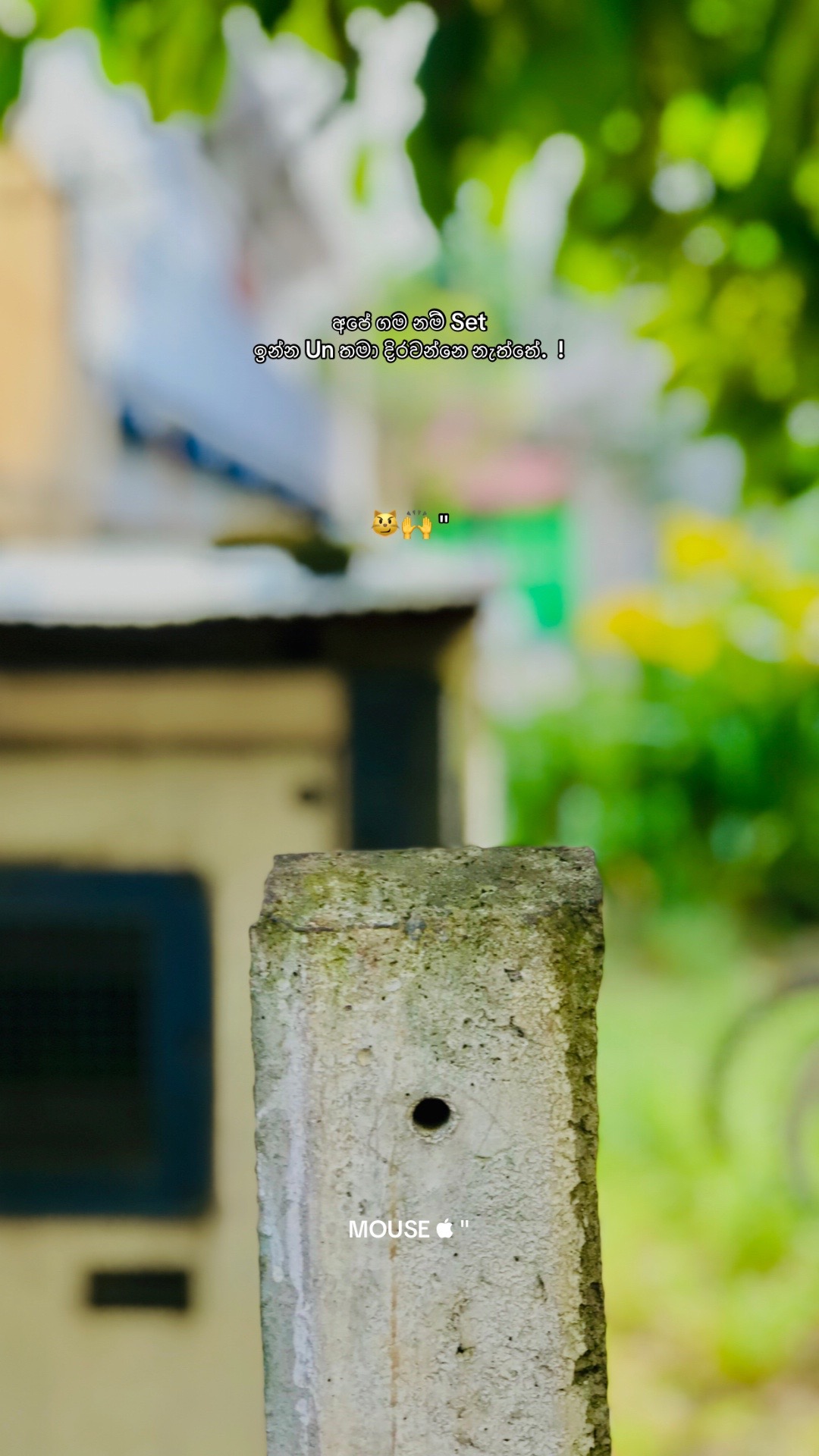 @• MOUSE "