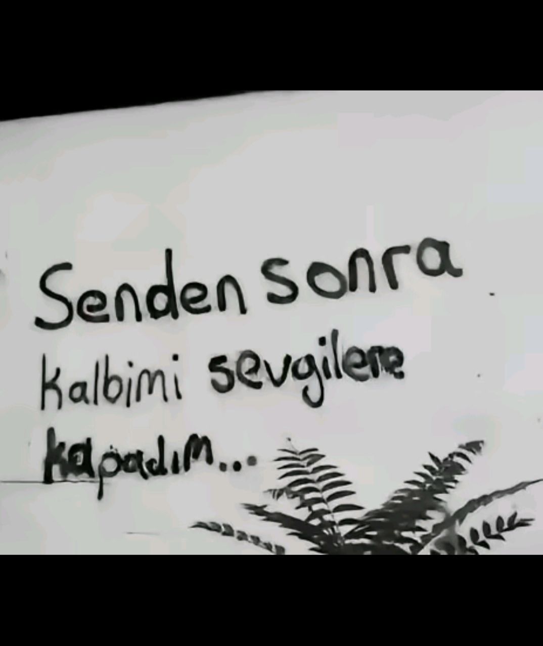 @🕊️